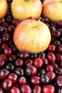 Bilde av Apple Cranberry